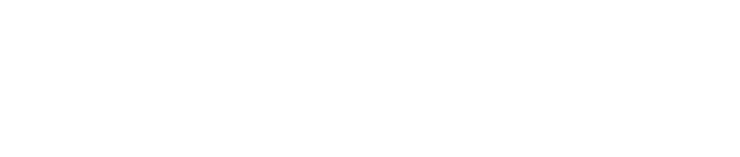 Stellantis logo (white)