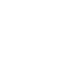 connector-Cloudflare Developer Platform (white)