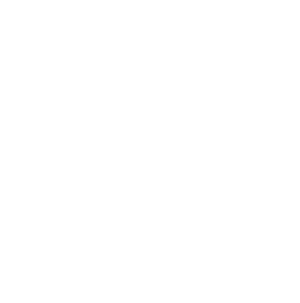 connector-Databricks (white)