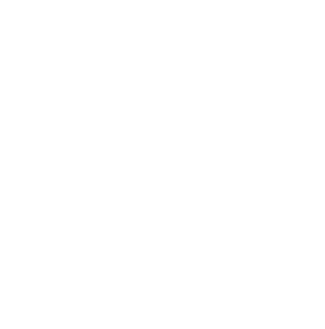 connector-Prisma Postgres (white)
